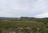 Terreno no urbanizable en venta en la España, Monóvar, ref: TR113592 foto