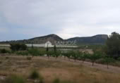 Terreno no urbanizable en venta en la España, Monóvar, ref: TR113592 foto