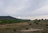 Terreno no urbanizable en venta en la España, Monóvar, ref: TR113592 foto