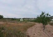 Terreno no urbanizable en venta en la España, Monóvar, ref: TR113592 foto