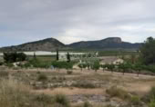 Terreno no urbanizable en venta en la España, Monóvar, ref: TR113592 foto