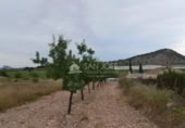 Terreno no urbanizable en venta en la España, Monóvar, ref: TR113592 foto