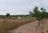 Terreno no urbanizable en venta en la España, Monóvar, ref: TR113592 foto