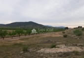 Terreno no urbanizable en venta en la España, Monóvar, ref: TR113592 foto