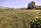 Terreny no urbanitzable en venda a la España, Calasparra, ref.: TR248167 foto