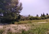 Terreny no urbanitzable en venda a la España, Calasparra, ref.: TR248167 foto