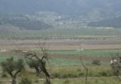 Terreny no urbanitzable en venda a la España, el Fondó de les Neus, ref.: TR158952 foto