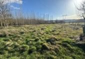 Non-developable land for sale on España, Ponferrada, ref: TR128382 photo