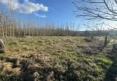 Non-developable land for sale on España, Ponferrada, ref: TR128382 photo