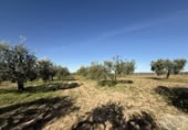 Terreny no urbanitzable en venda a la España, Bollullos Par del Condado, ref.: TR380787 foto