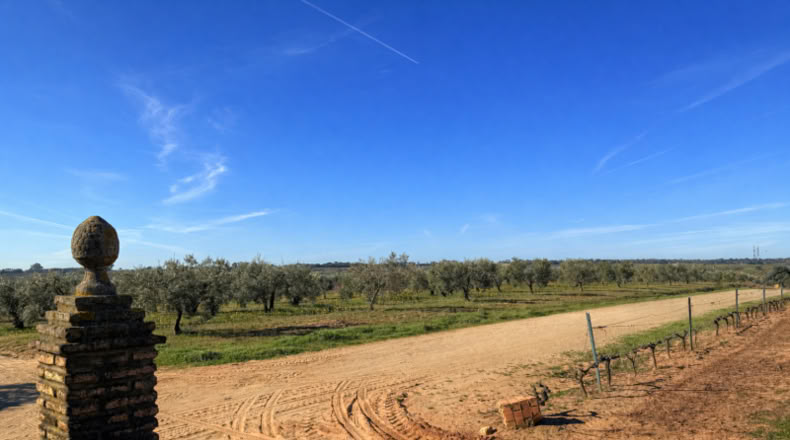 Huelva - Bollullos Par del Condado - 4136m2