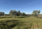 Terreny no urbanitzable en venda a la España, Bollullos Par del Condado, ref.: TR380787 foto