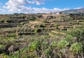 Non-developable land for sale on España, Fasnia, ref: TR376597 photo