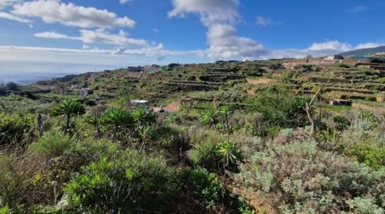 Santa Cruz de Tenerife - Fasnia - 616m2