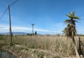 Parcel·la urbanitzable en venda a la España, Amposta, ref.: TR222188 foto