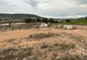 Terreny no urbanitzable en venda a la España, la Romana, ref.: TR122511 foto