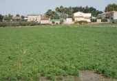 Terreny no urbanitzable en venda a la España, Alguazas, ref.: TR118106 foto