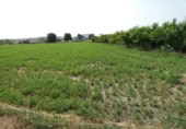 Terreny no urbanitzable en venda a la España, Alguazas, ref.: TR118106 foto