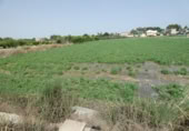 Terreny no urbanitzable en venda a la España, Alguazas, ref.: TR118106 foto