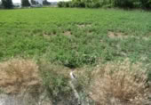 Terreny no urbanitzable en venda a la España, Alguazas, ref.: TR118106 foto