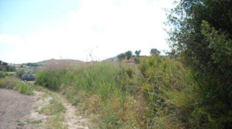 Múrcia - Calasparra - 5136m2