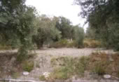 Terreny no urbanitzable en venda a la España, Calasparra, ref.: TR119426 foto
