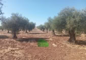 Terreno no urbanizable en venta en la España, Montijo, ref: TR353429 foto