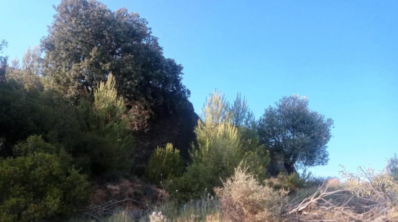 Cáceres - Belvís de Monroy - 39552m2