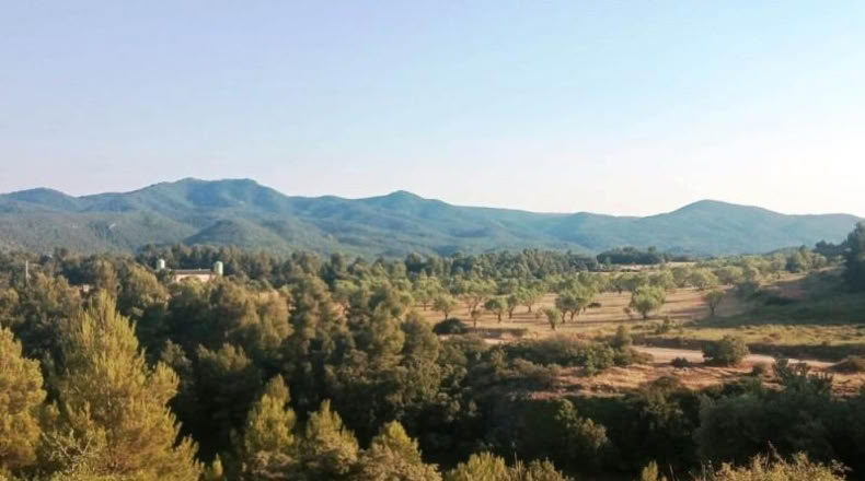Cáceres - Belvís de Monroy - 39552m2