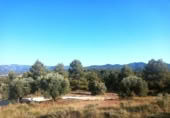 Detached villa with land for sale on España, Monroyo, ref: TR323644 photo