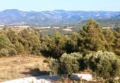 Detached villa with land for sale on España, Monroyo, ref: TR323644 photo