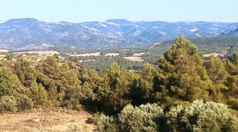Cáceres - Belvís de Monroy - 39552m2