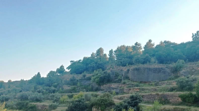 Cáceres - Belvís de Monroy - 39552m2