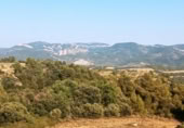 Detached villa with land for sale on España, Monroyo, ref: TR323644 photo