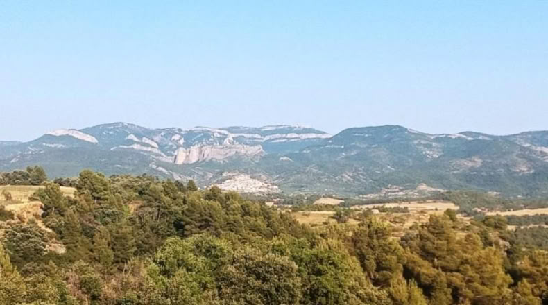 Cáceres - Belvís de Monroy - 39552m2
