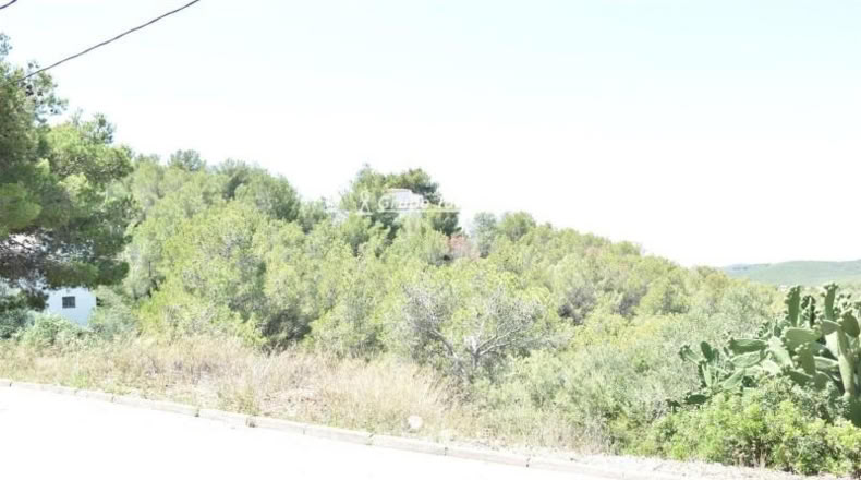 Tarragona - la Bisbal del Penedès - 704m2