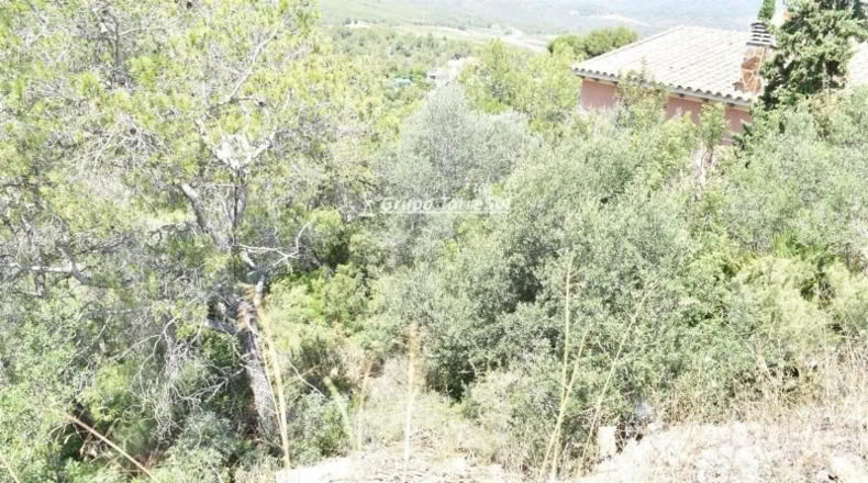 Tarragona - la Bisbal del Penedès - 704m2