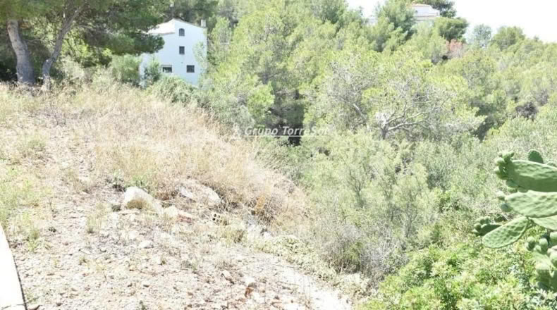 Tarragona - la Bisbal del Penedès - 704m2