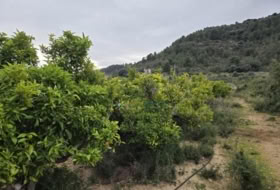 Rafelcofer 2479&nbsp;m² 