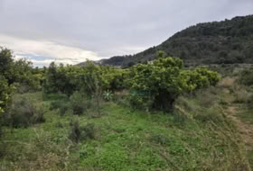 Rafelcofer 2479&nbsp;m² 