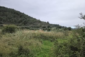 Rafelcofer 2479&nbsp;m² 