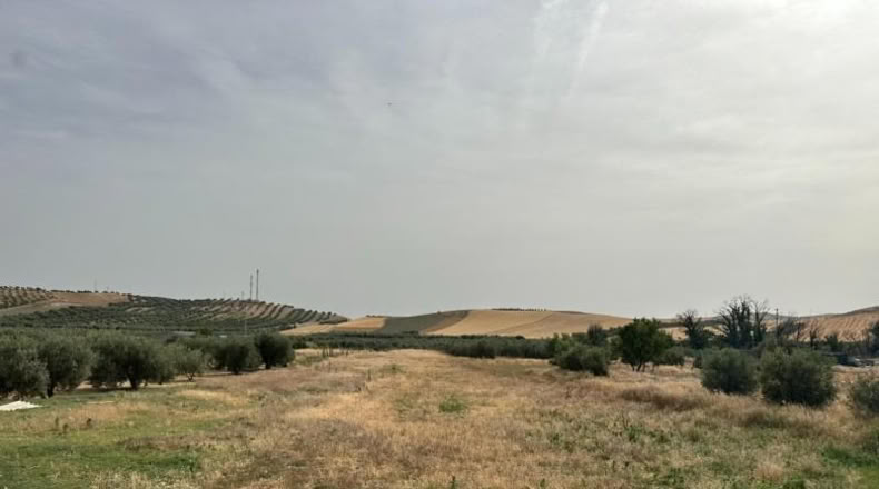 Granada - Chimeneas - 1217m2