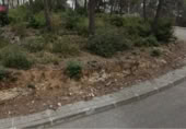 Suelo urbano en venta en la España, Olivella, ref: TR380450 foto