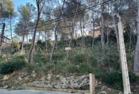 Olivella 639&nbsp;m²