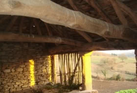 Foto 15