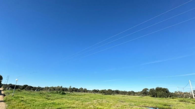 Badajoz - Badajoz - 5000m2