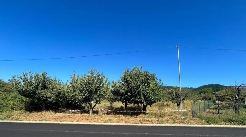 León - Arganza - 486m2