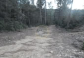 Non-developable land for sale on España, L'Olleria, ref: TR228476 photo
