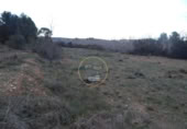 Non-developable land for sale on España, L'Olleria, ref: TR228476 photo