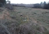 Non-developable land for sale on España, L'Olleria, ref: TR228476 photo